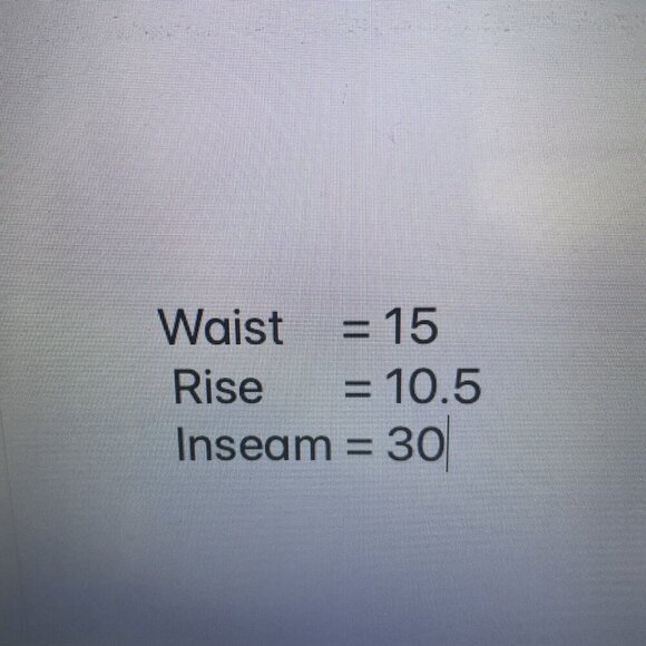 NEW Weatherproof Men's Reg Fit Fleece-Lined Stretch Canvas Pants, Green 30X30 - Picture 4 of 10